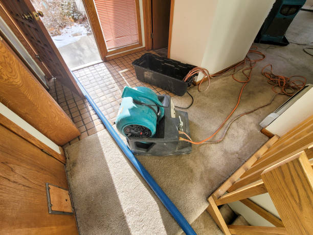 Best 24/7 water damage repair  in Tanque Verde, AZ