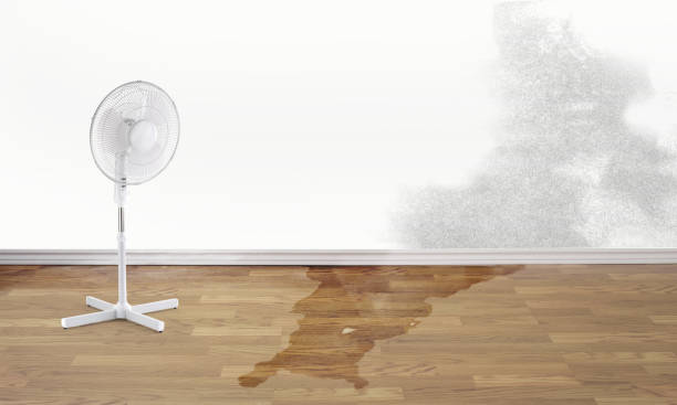 Best Water damage restoration services  in Tanque Verde, AZ