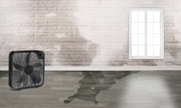  Tanque Verde, AZ Water damage restoration Pros