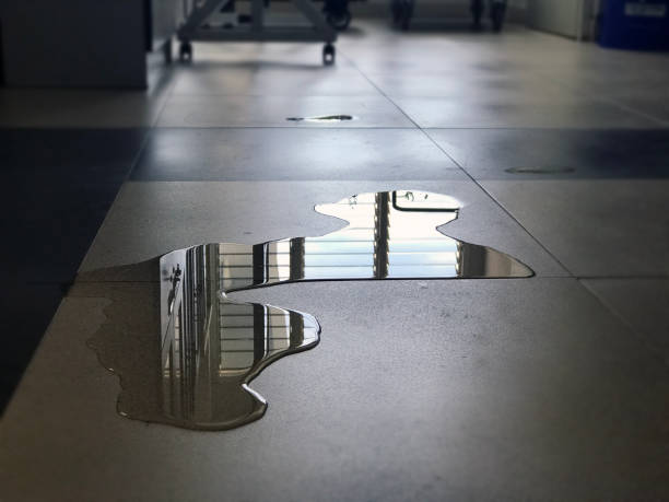 Best Water damage mitigation services  in Tanque Verde, AZ