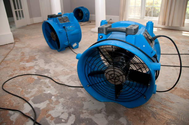 Best Local water damage restoration  in Tanque Verde, AZ