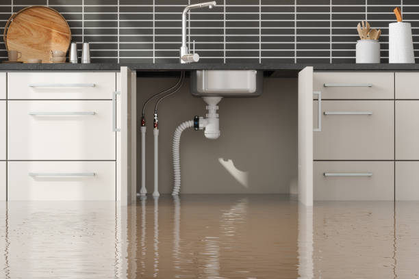 Best Flood damage cleanup  in Tanque Verde, AZ