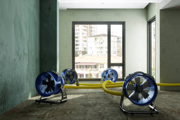 Best Water damage restoration services  in Tanque Verde, AZ